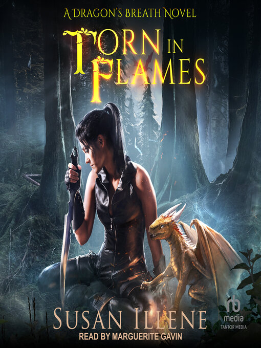 Title details for Torn in Flames by Susan Illene - Wait list
